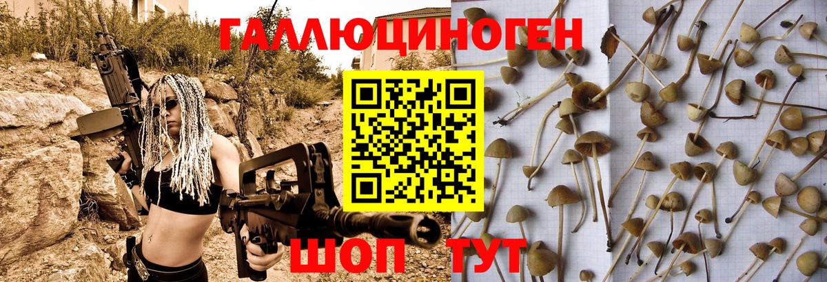 Псилоцибиновые грибы Cubensis  продажа наркотиков  Ярцево  Вход с VPN  Псилоцибиновые грибы Psilocybe 
